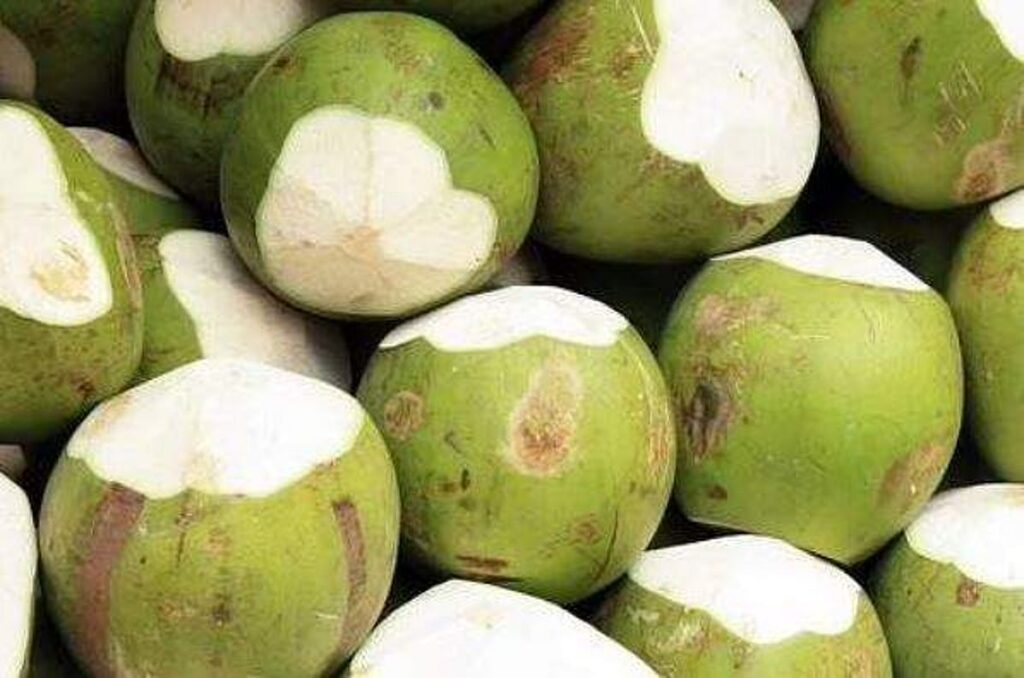 இளநீர் குடித்தால் உடல் எடை குறையுமா?